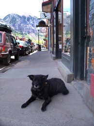 Just hangin' out on the street in Telluride.